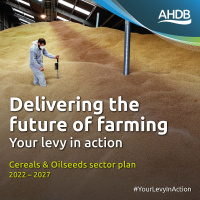 372: AHDB’s Cereals  Oilseeds Sector Council publish plans