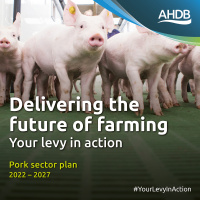 371: AHDB’s Pork Sector Council publishes 2022–2027 plan