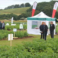 81: Potatoes in Practice: The big issues for the industry