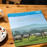 265: AHDB Beef  Lamb: Sheep Horizon Report Podcast