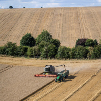 354: AHDB Cereals  Oilseeds: Digital Grain Passport