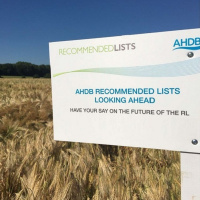382: AHDB Cereals  Oilseeds: Recommended Lists (RL)
