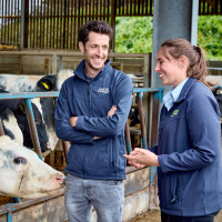 441: Resilient beef: Lucerne, herbal leys  mindset