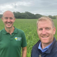 404: AHDB Dairy: Herbal leys and their potential benefits