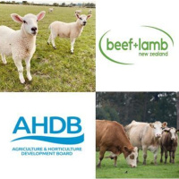 355: The impact of a UK-New Zealand free trade agreement pt2: the effect on UK agriculture and differences in New Zealand production systems