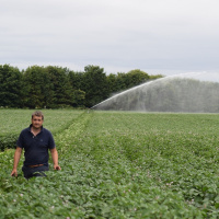 233: Potatoes: What do I get for my levy?