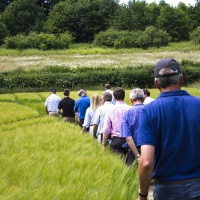 292: Agri Market Outlook for Arable| 02.08.21