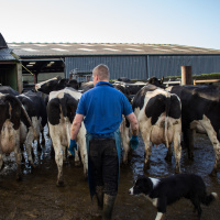 324: AgriLeader: What kind of leader are you?