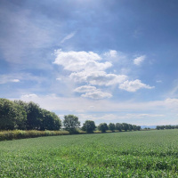 379: AHDB Cereals  Oilseeds: Cost inputs and planning for 2023