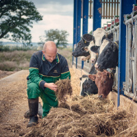 394: AHDB Dairy: Using nutrition and genetics to drive feed efficiency