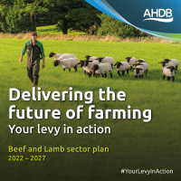 373: AHDB’s Beef  Lamb Sector Council publish 2022–2027 plan