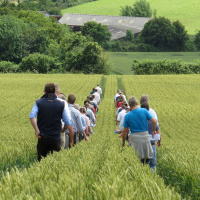 225: Programme for change | 2021-2026 Strategy