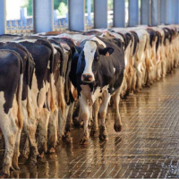 120: Success in Transition