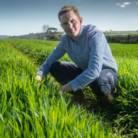 267: Fungicide Challenge 2021