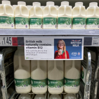 445: AHDB Dairy: Working with retailers