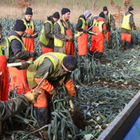 40: What are the current labour challenges horticulture growers are facing?