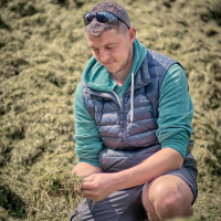 341: AHDB Dairy: Making the best silage for dry cows