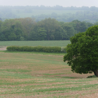 23: Preparing for harvest, Saltburn Monitor Farm  glyphosate stewardship