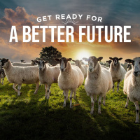 416: AHDB Beef and Lamb: Roots to Resilience