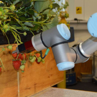 47: SmartHort Part 1: University of Essex and Tiptree on developing a robotic strawberry harvester