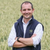 221: Agricultural research at Strategic Cereal Farms