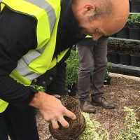 123: The Transition to Responsibly Sourced Growing Media in UK Horticulture