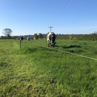 330: A Leicestershire farmers rotational grazing journey