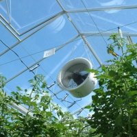 256: Growsave-ing carbon? Net zero and what it means for horticultural production