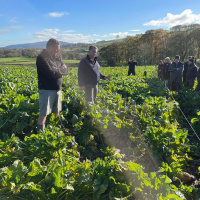 378: AHDB Beef  Lamb: Planning next years grazing strategy
