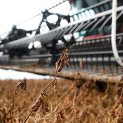 Ahdb Cereals  Oilseeds