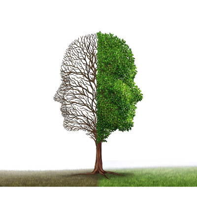 Ahdb Cereals  Oilseeds