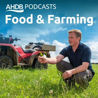 Ahdb Cereals  Oilseeds