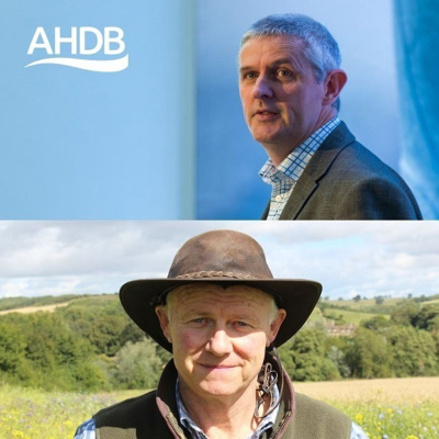 Ahdb Cereals  Oilseeds