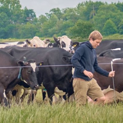 Ahdb Cereals  Oilseeds