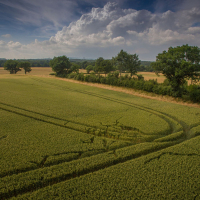 Ahdb Cereals  Oilseeds
