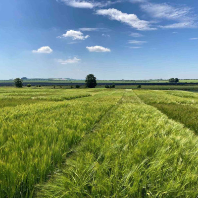 Ahdb Cereals  Oilseeds