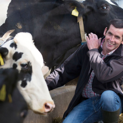 Ahdb Cereals  Oilseeds