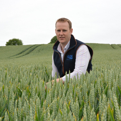 Ahdb Cereals  Oilseeds