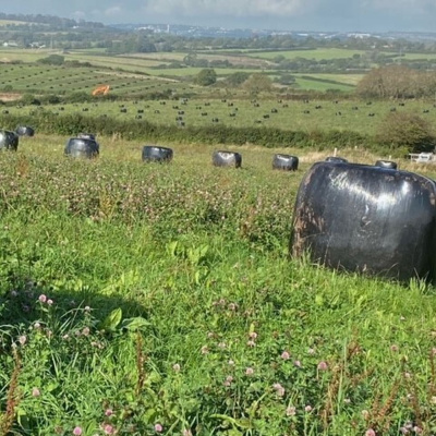 Ahdb Cereals  Oilseeds
