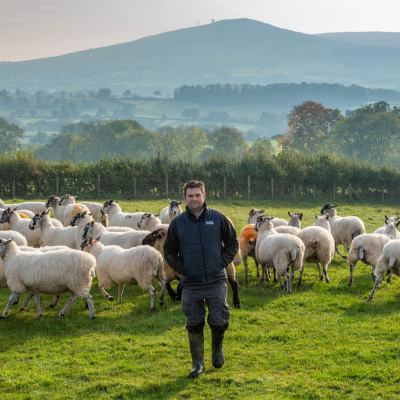 Ahdb Cereals  Oilseeds