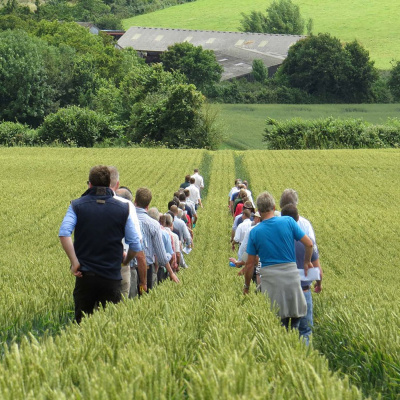 Ahdb Cereals  Oilseeds