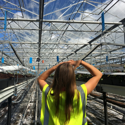 Ahdb Cereals  Oilseeds