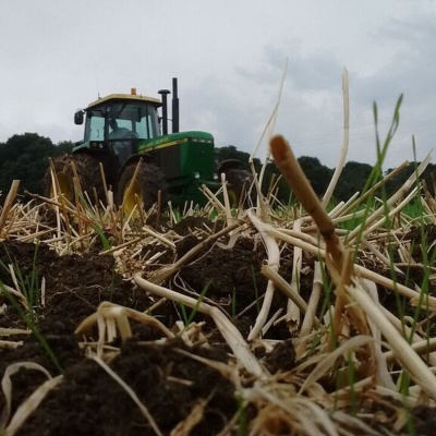 Ahdb Cereals  Oilseeds