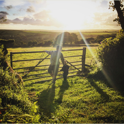 Ahdb Cereals  Oilseeds