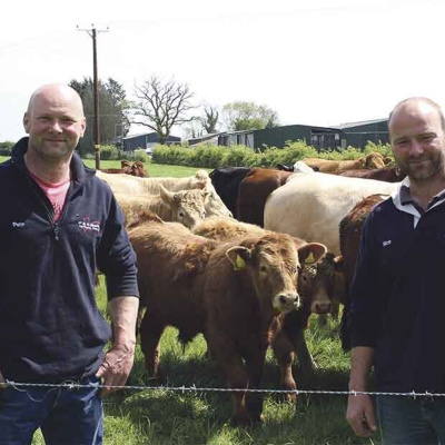 Ahdb Cereals  Oilseeds