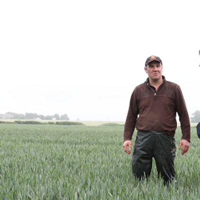 Ahdb Cereals  Oilseeds