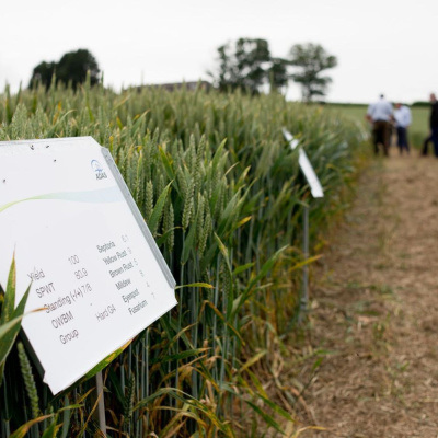 Ahdb Cereals  Oilseeds