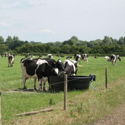 Ahdb Cereals  Oilseeds