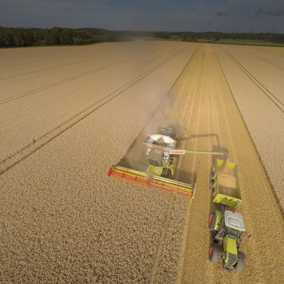 Ahdb Cereals  Oilseeds