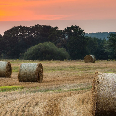 Ahdb Cereals  Oilseeds